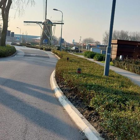 Wijngaardstraat 7A Domburg别墅 外观 照片
